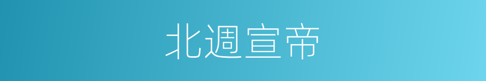北週宣帝的同義詞