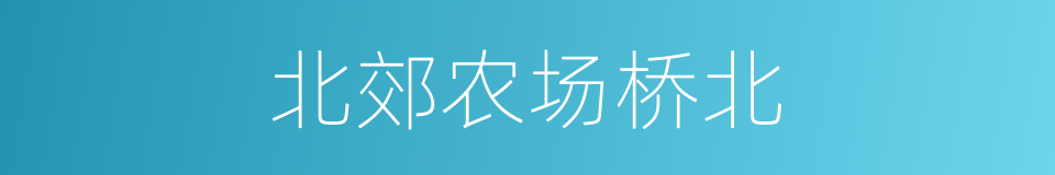 北郊农场桥北的同义词