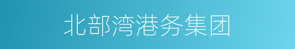 北部湾港务集团的同义词