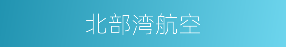 北部湾航空的同义词