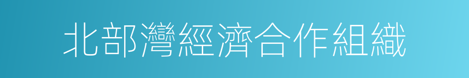 北部灣經濟合作組織的同義詞