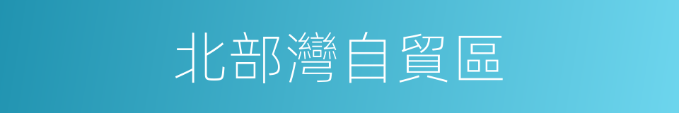北部灣自貿區的同義詞