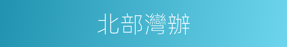 北部灣辦的同義詞