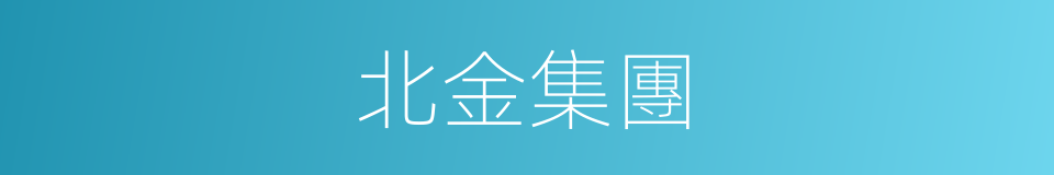 北金集團的同義詞