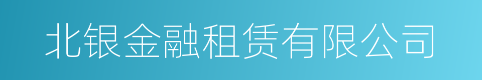 北银金融租赁有限公司的同义词