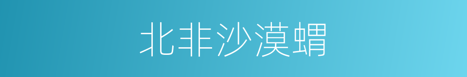 北非沙漠蝟的同義詞