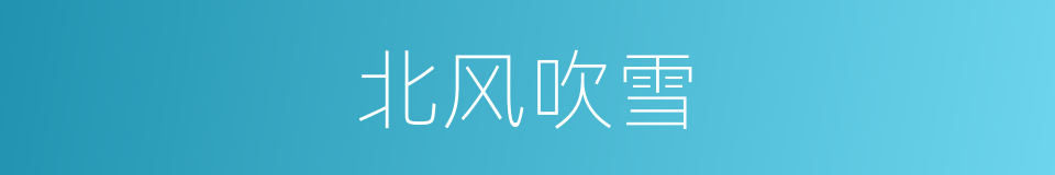 北风吹雪的同义词