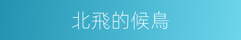 北飛的候鳥的同義詞