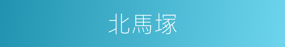 北馬塚的同義詞