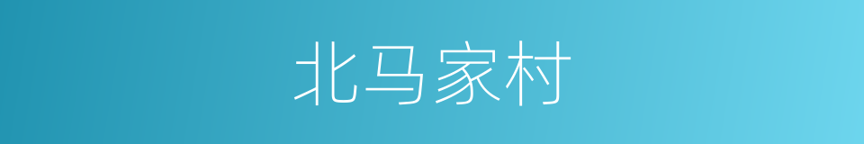 北马家村的同义词