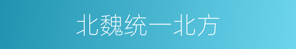 北魏统一北方的同义词