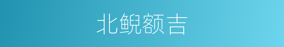 北鲵额吉的同义词