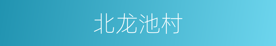 北龙池村的同义词