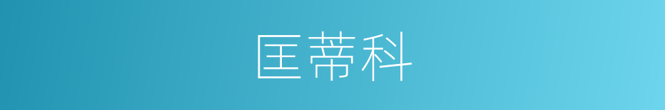 匡蒂科的同义词