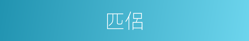 匹侶的意思