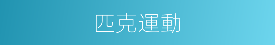 匹克運動的同義詞