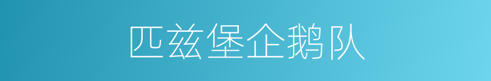 匹兹堡企鹅队的同义词