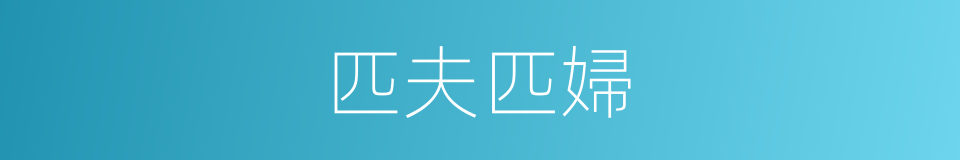 匹夫匹婦的意思