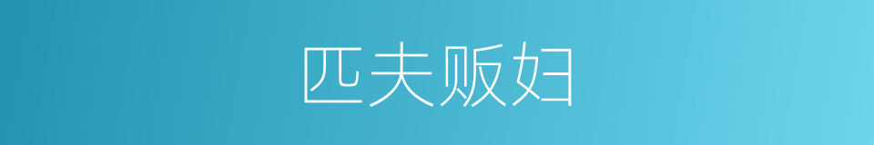 匹夫贩妇的意思