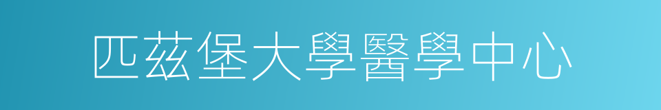 匹茲堡大學醫學中心的同義詞