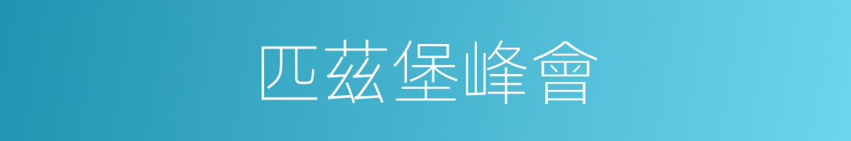 匹茲堡峰會的同義詞
