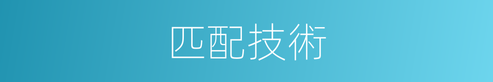 匹配技術的同義詞