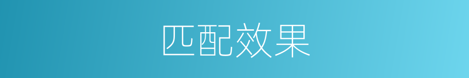 匹配效果的同义词
