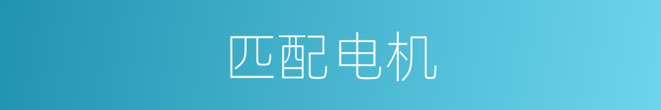 匹配电机的同义词