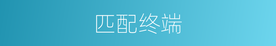 匹配终端的同义词