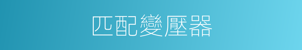 匹配變壓器的同義詞