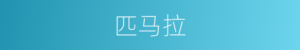 匹马拉的同义词