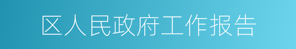 区人民政府工作报告的同义词