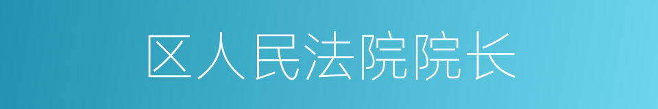 区人民法院院长的同义词