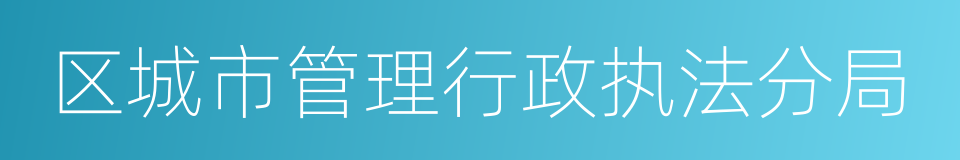 区城市管理行政执法分局的同义词