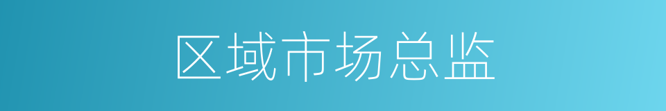 区域市场总监的同义词