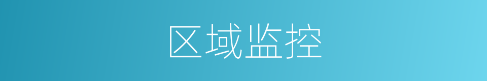 区域监控的同义词