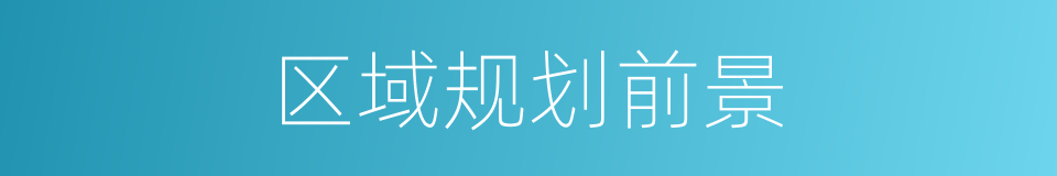 区域规划前景的同义词