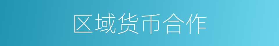 区域货币合作的同义词