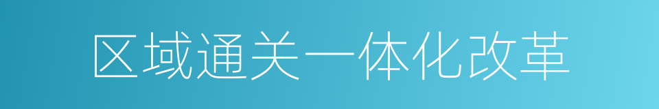 区域通关一体化改革的同义词