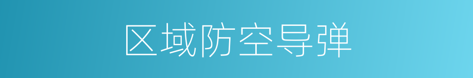 区域防空导弹的同义词