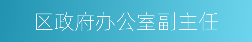 区政府办公室副主任的同义词