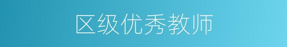 区级优秀教师的同义词