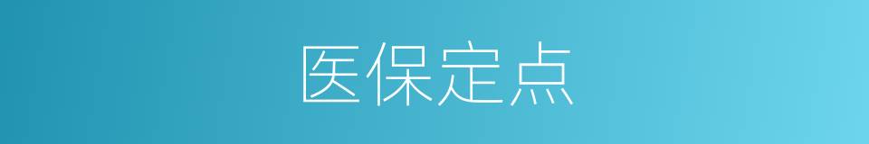 医保定点的意思