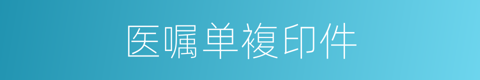 医嘱单複印件的同义词