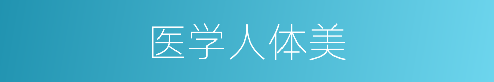 医学人体美的同义词