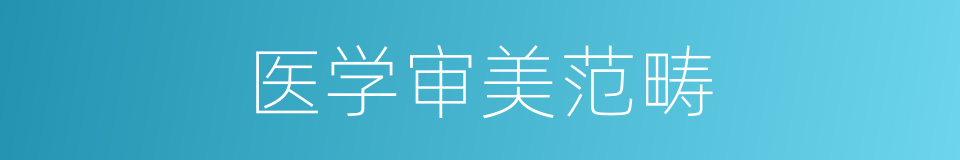医学审美范畴的同义词