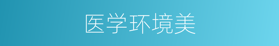 医学环境美的同义词
