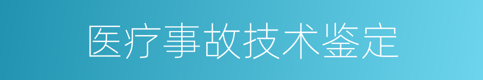 医疗事故技术鉴定的同义词