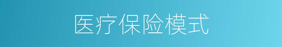 医疗保险模式的同义词