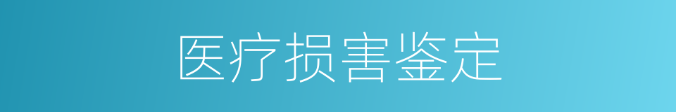 医疗损害鉴定的同义词